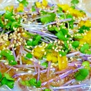 アジ刺身レシピ 作り方の人気順 簡単料理の楽天レシピ アジ刺身レシピ 作り方の人気順 簡単料理の楽天レシピ